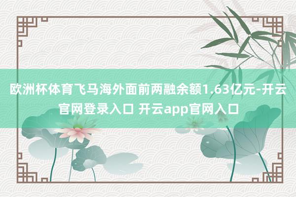 欧洲杯体育飞马海外面前两融余额1.63亿元-开云官网登录入口