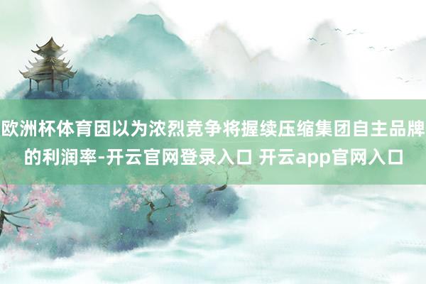 欧洲杯体育因以为浓烈竞争将握续压缩集团自主品牌的利润率-开云
