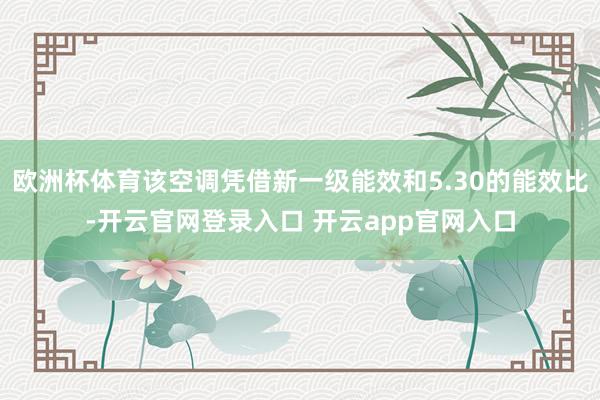 欧洲杯体育该空调凭借新一级能效和5.30的能效比-开云官网登