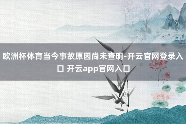 欧洲杯体育当今事故原因尚未查明-开云官网登录入口 开云app官网入口