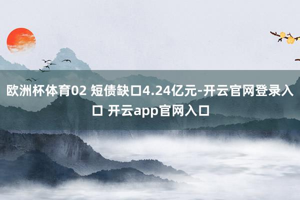 欧洲杯体育02 短债缺口4.24亿元-开云官网登录入口 开云