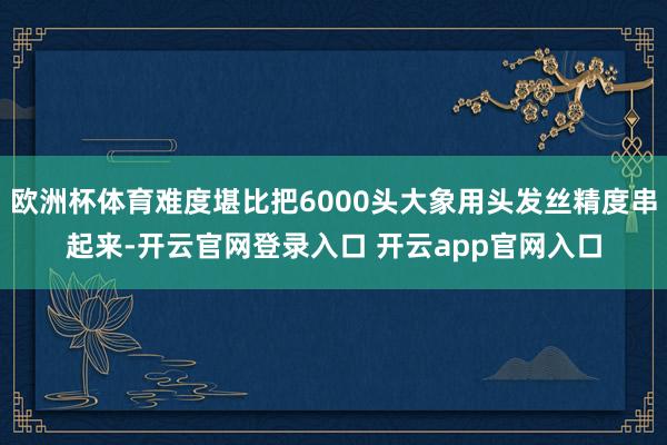 欧洲杯体育难度堪比把6000头大象用头发丝精度串起来-开云官
