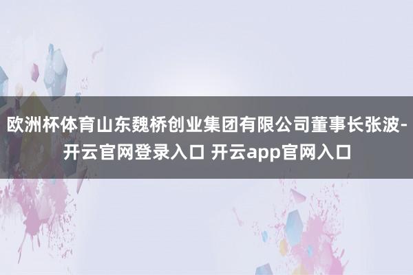 欧洲杯体育山东魏桥创业集团有限公司董事长张波-开云官网登录入
