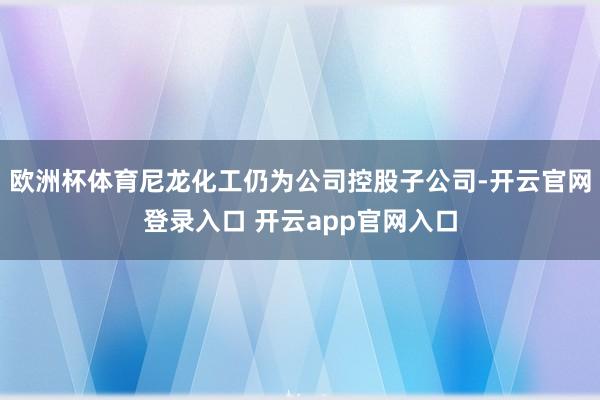 欧洲杯体育尼龙化工仍为公司控股子公司-开云官网登录入口 开云