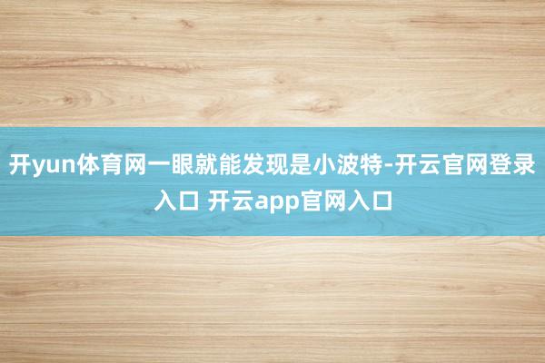 开yun体育网一眼就能发现是小波特-开云官网登录入口 开云app官网入口