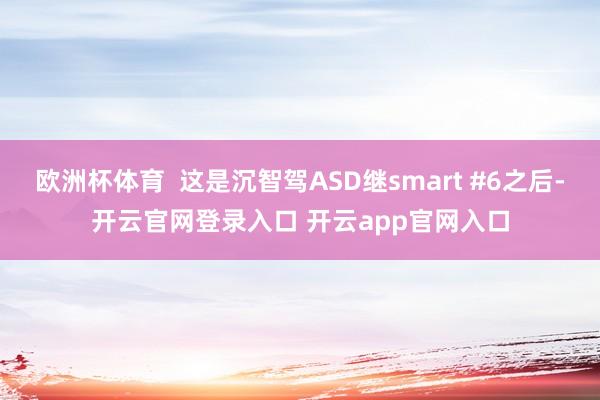 欧洲杯体育  这是沉智驾ASD继smart #6之后-开云官