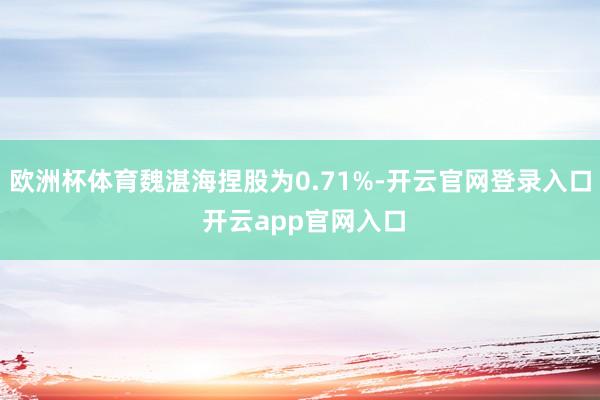 欧洲杯体育魏湛海捏股为0.71%-开云官网登录入口 开云ap